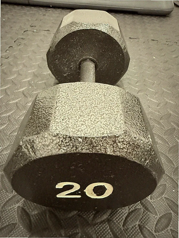 1 ONLY 20 lbs Dumbbell Cast Iron Hex Dumbbell Hexagon Weightlifting Lift Workout