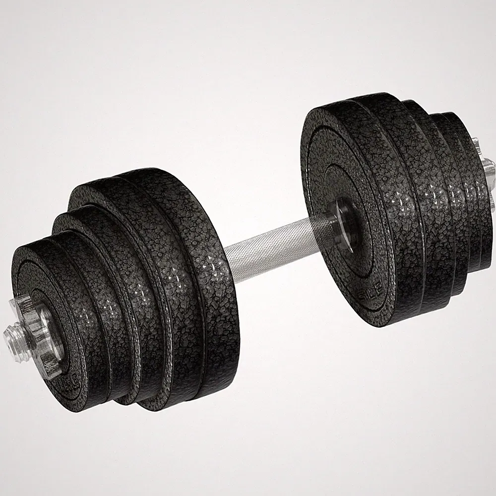 1" Standard Dumbbells Weight Plate Set for 1-inch Dumbells Bar, Adjustable We...
