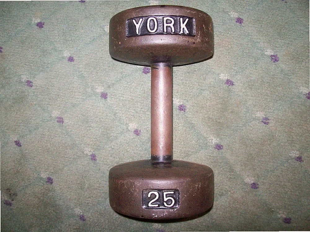 (1) vtg 25lb. YORK BARBELL DUMBBELL "ROUNDHEAD" BodyBuilding Fitness STRONGMAN