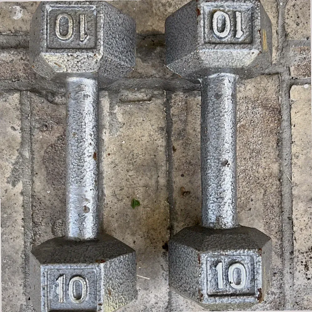 10 LB Dumbbell Pair Cast Iron Hex Dumbbells Weights Set of 2 - Total 20 Lbs