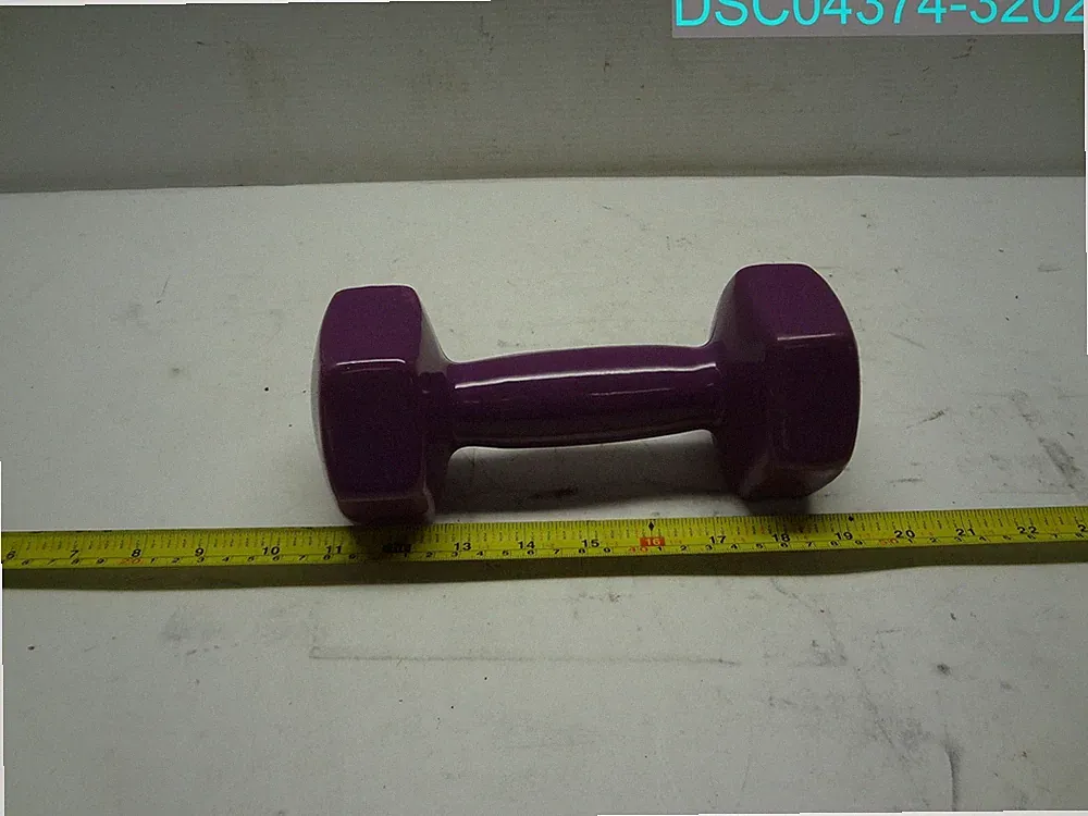 10 LB Vinyl Coated Dumbbell Purple