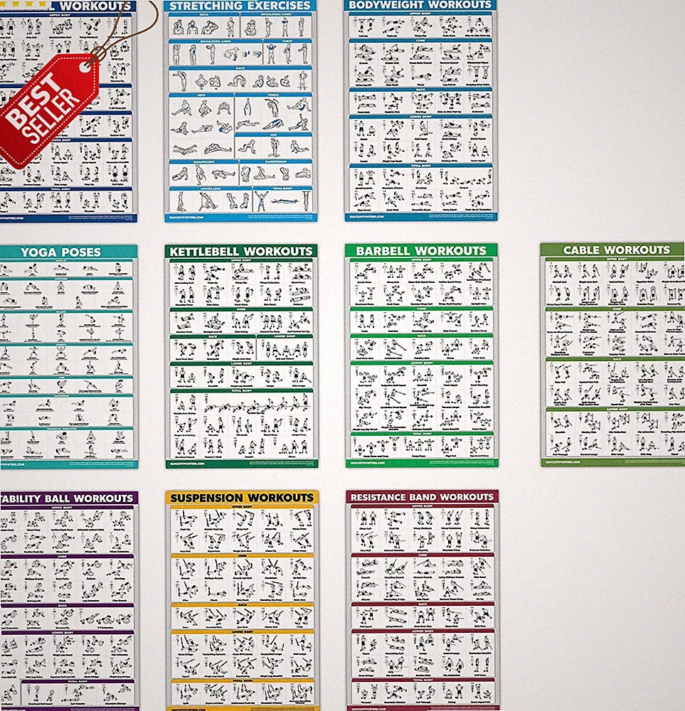 10 Pack Workout Posters Cable Dumbbell Barbell Yoga Bands 18x24 Laminated - US