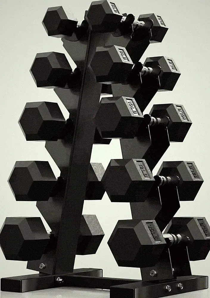 100LB Hex Dumbbell Set with Rack Home Gym Strength Training Weights