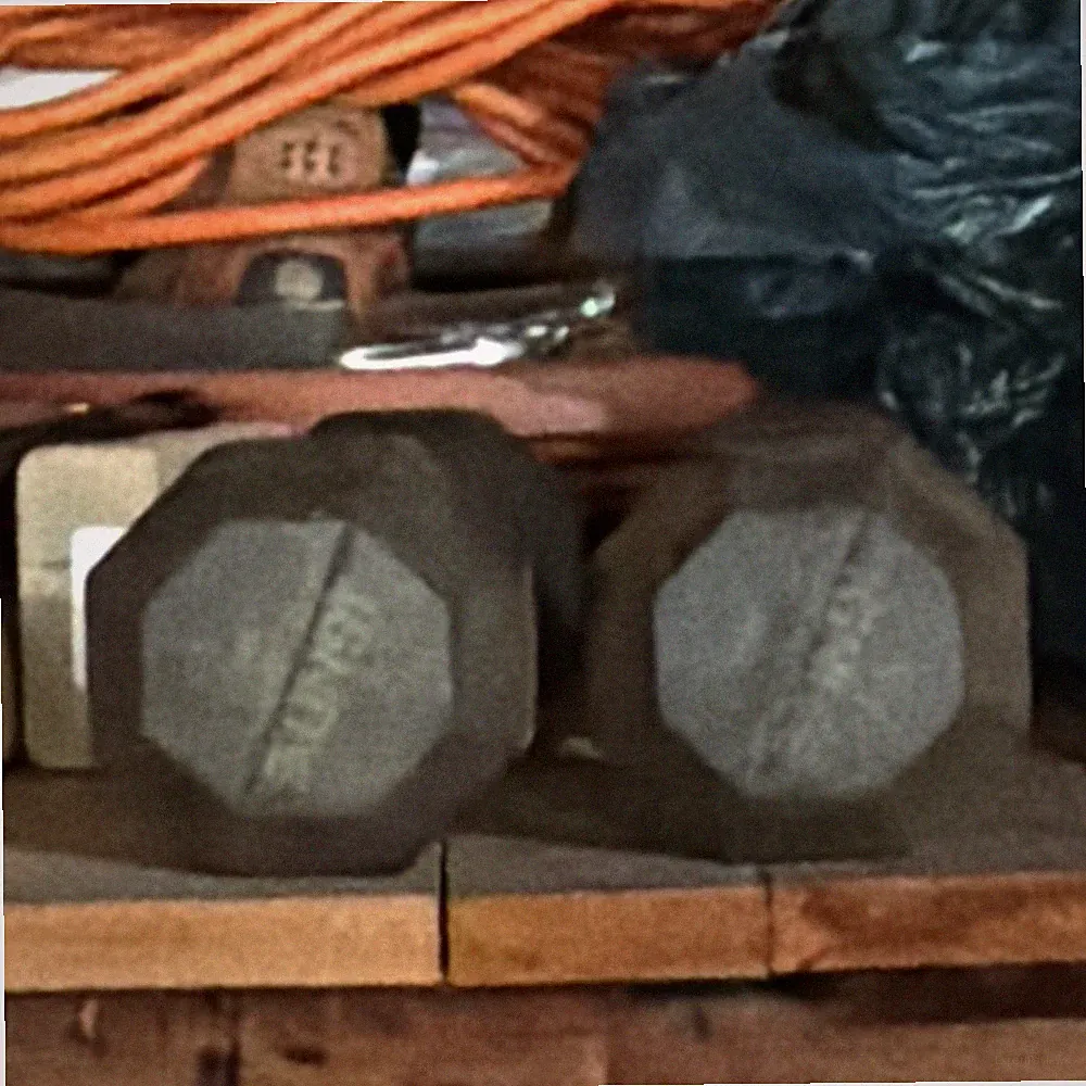 SPRI 8 Lb Pair