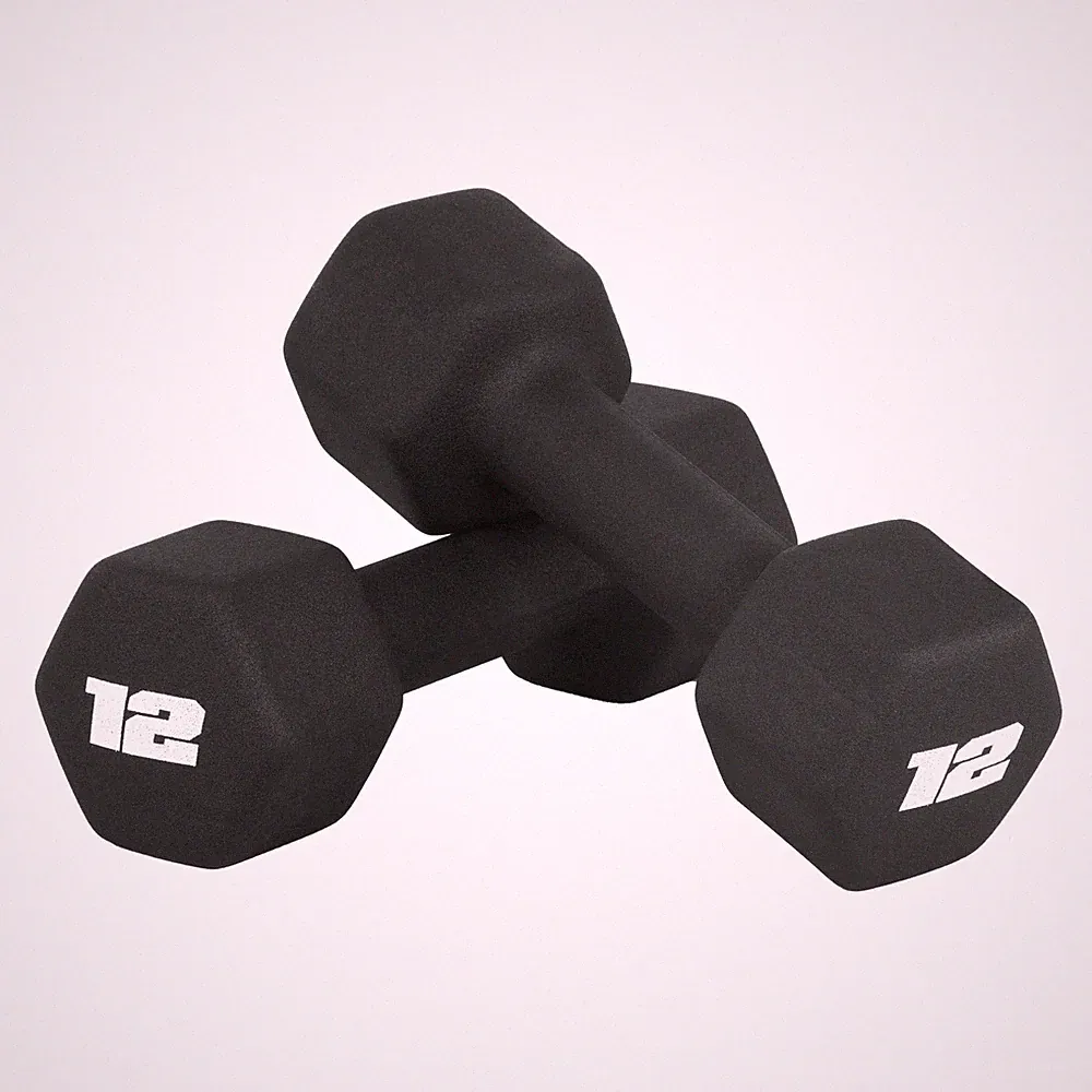 dumbbells neoprene 12