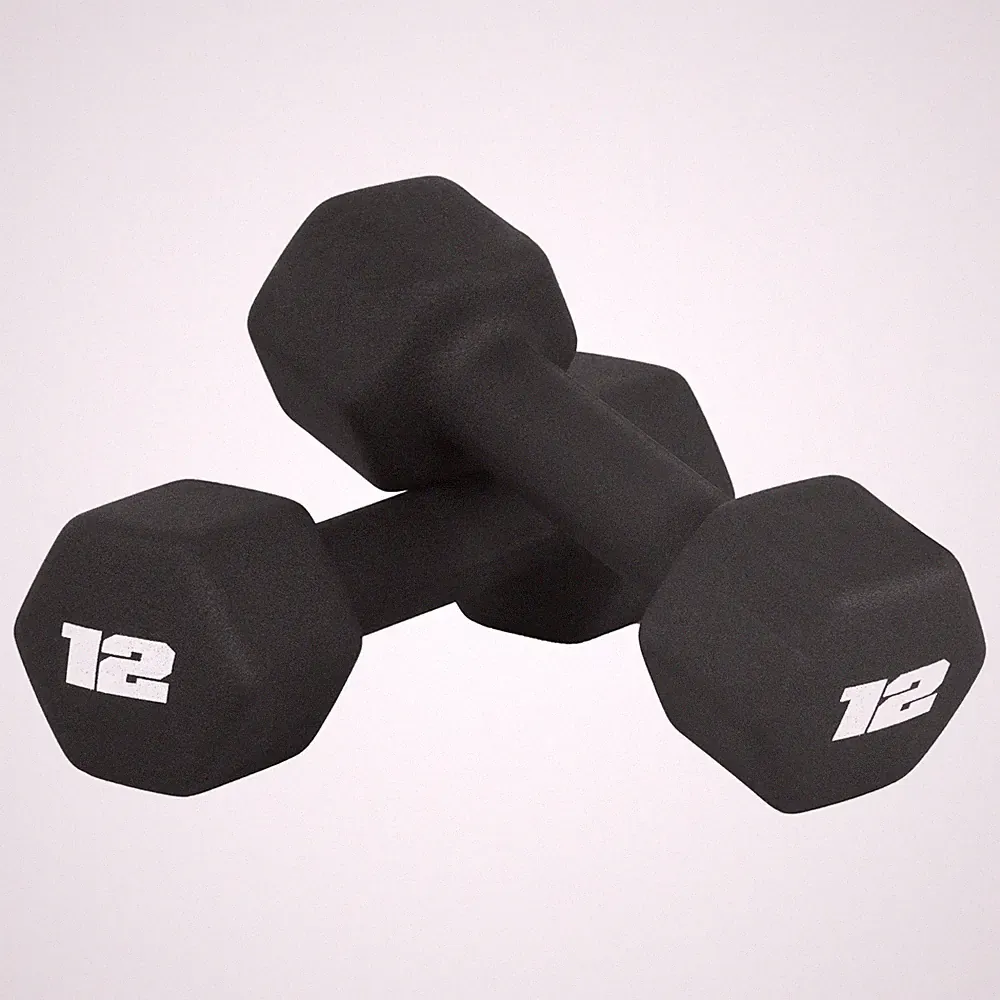 12 LB Neoprene Dumbbells Hand Weights for Home Gym | Pair, Black