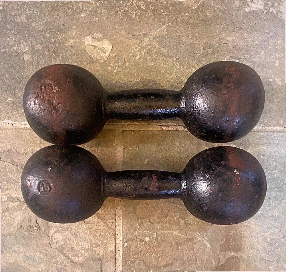 15 lb Cast Iron Globe Round End Dumbbells Pair Set of 2 Fixed Weight Black