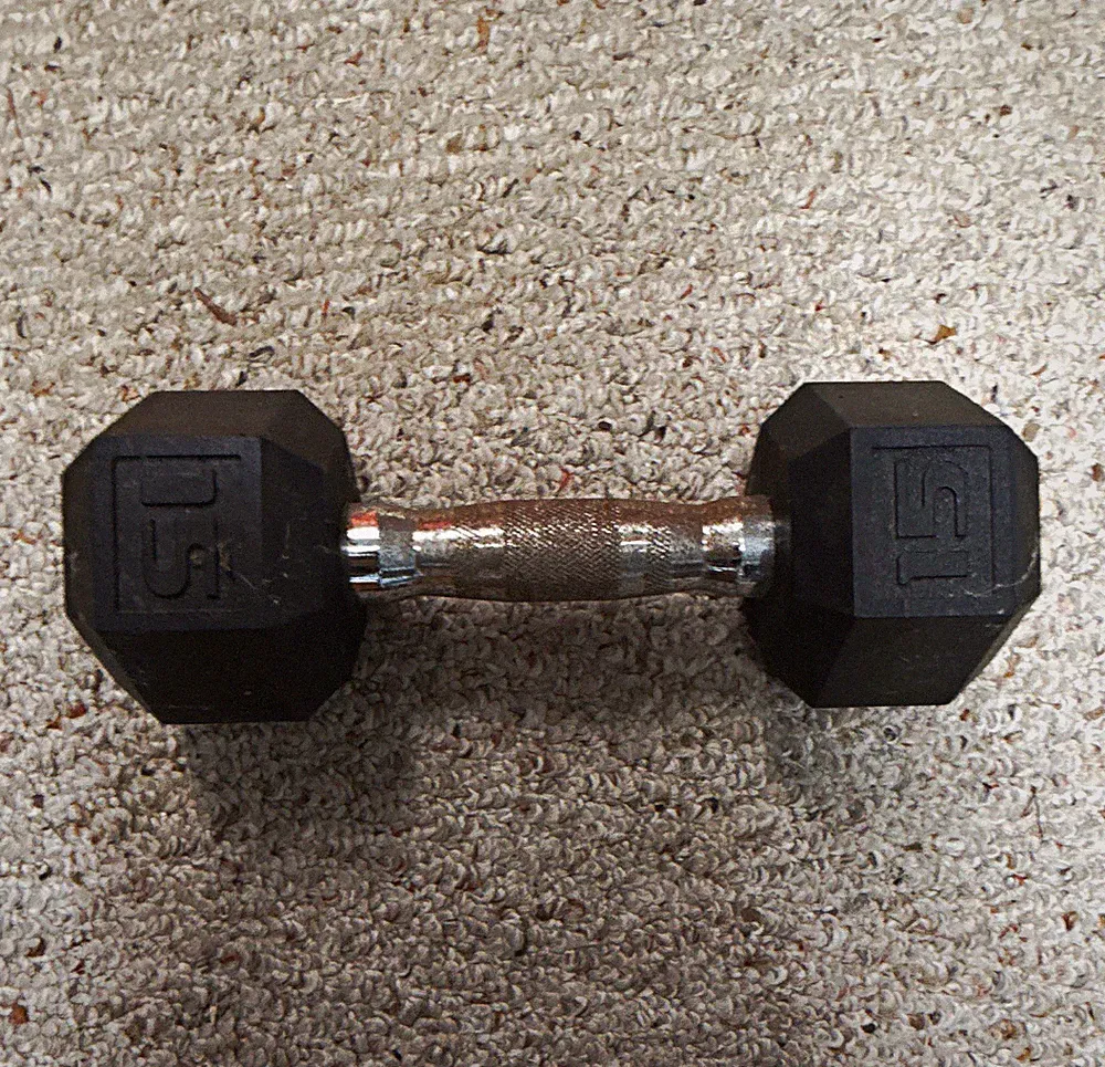 15 lb Fixed Weight Hex Rubber Dumbbell - Black/Silver Steel Handle, Single