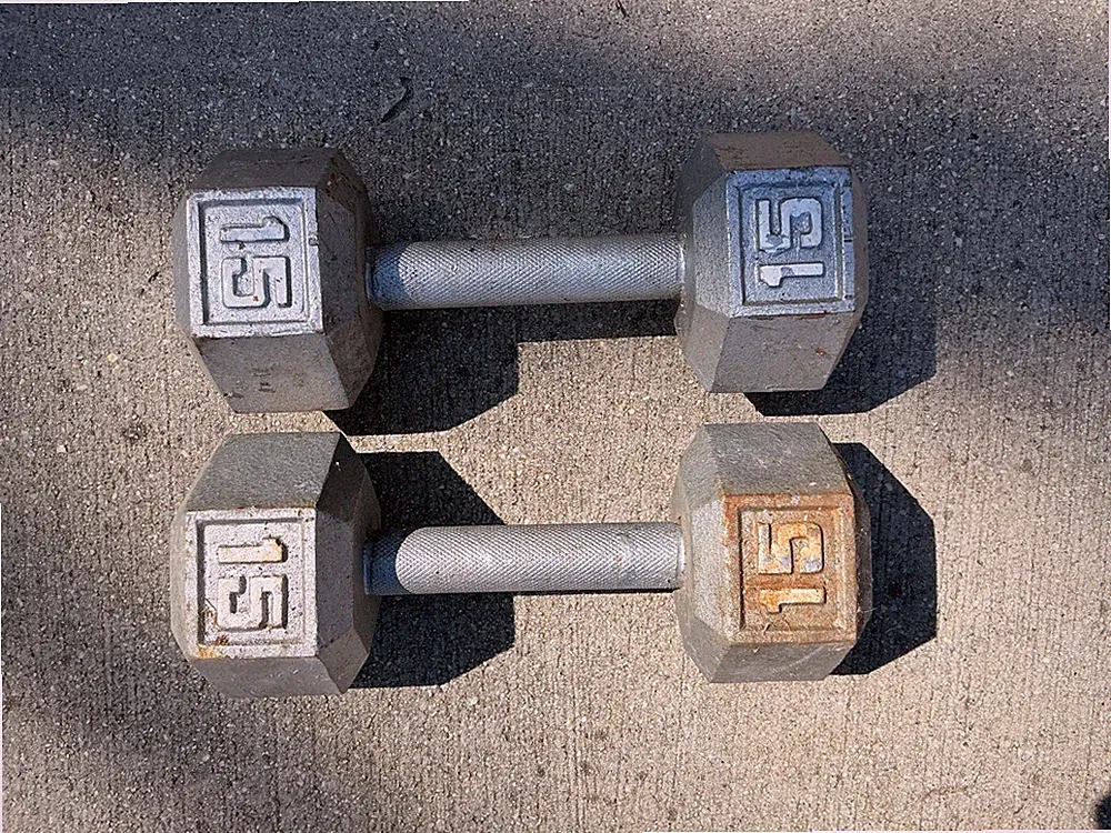 15lbs Hex Dumbbell Set