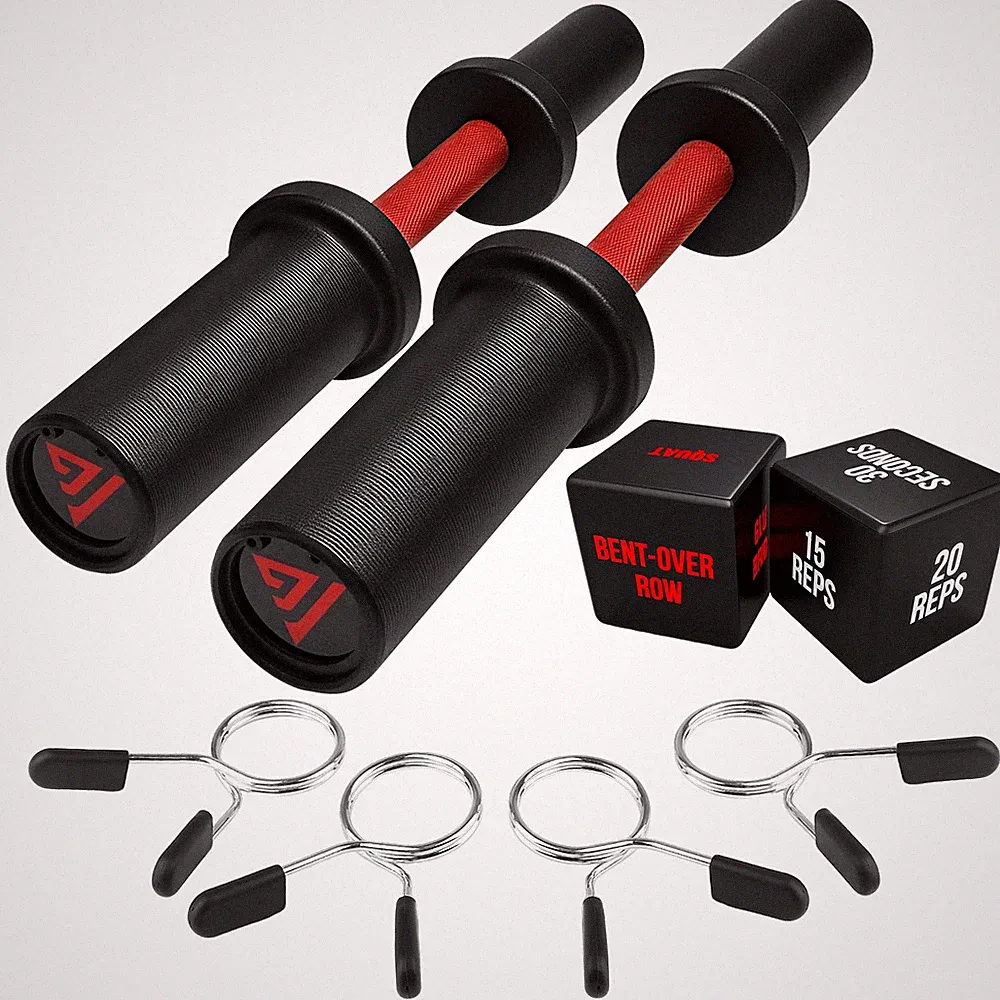 16" Olympic Dumbbell Handle with 2 Exercise Dice, Loadable Dumbbells for 2-in...