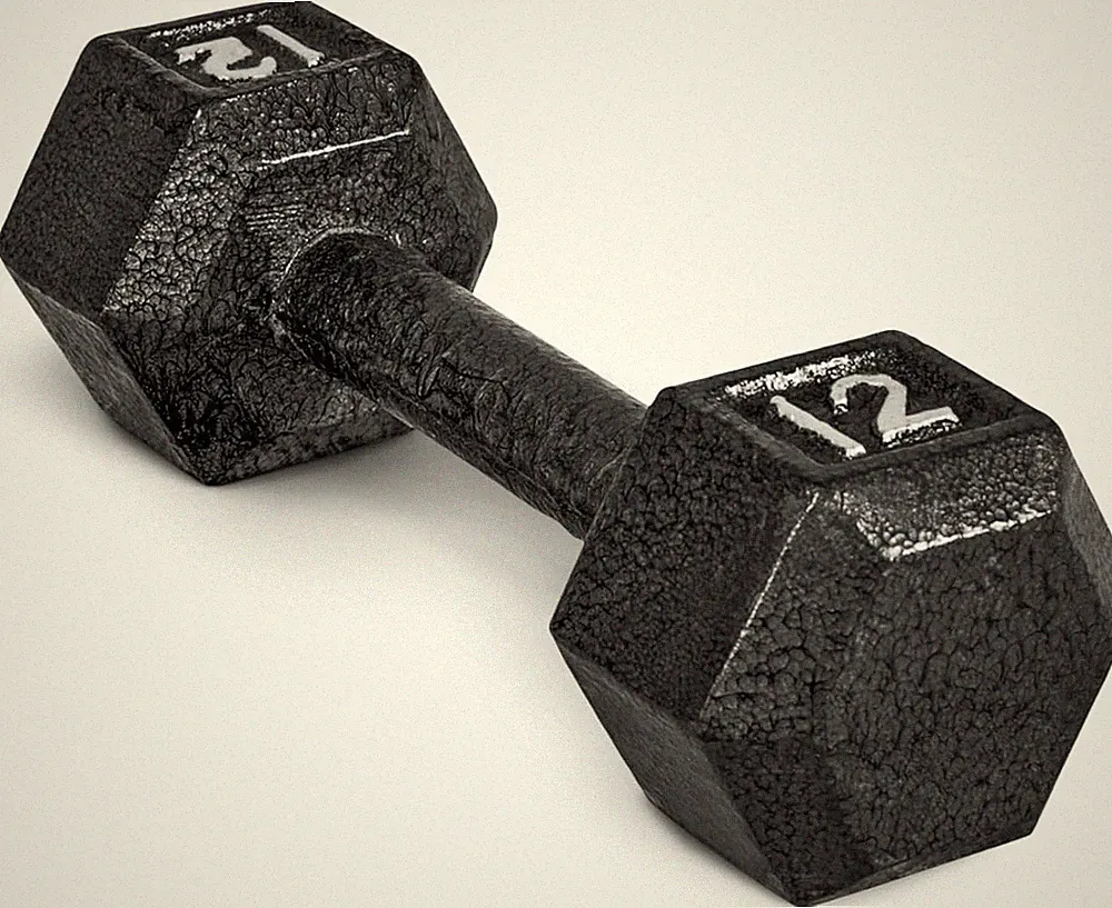 1XBlack Single Dumbbell Cast Iron Hex Dumbbell Home Gym Yoga 10/12/15/20/25/30lb