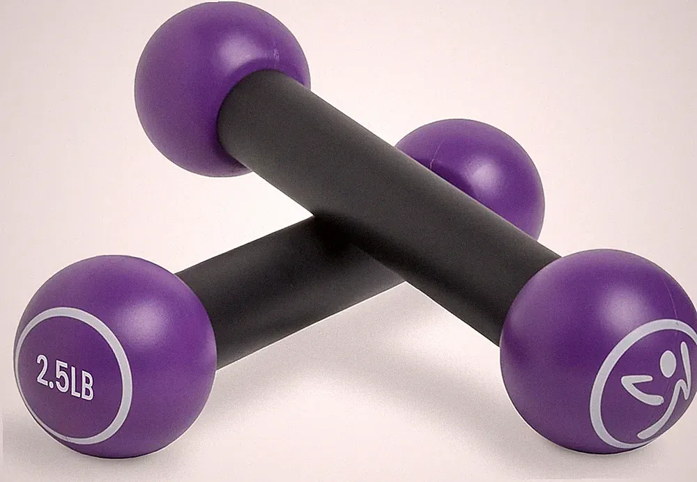 2.5 Lb Dumbbells Set of 2 - Hand Weights for Women, for Home Fitness Workout Exc