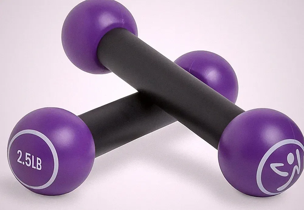 2.5LB Dumbbells Set of 2 Hand Weights for Home Fitness Workout