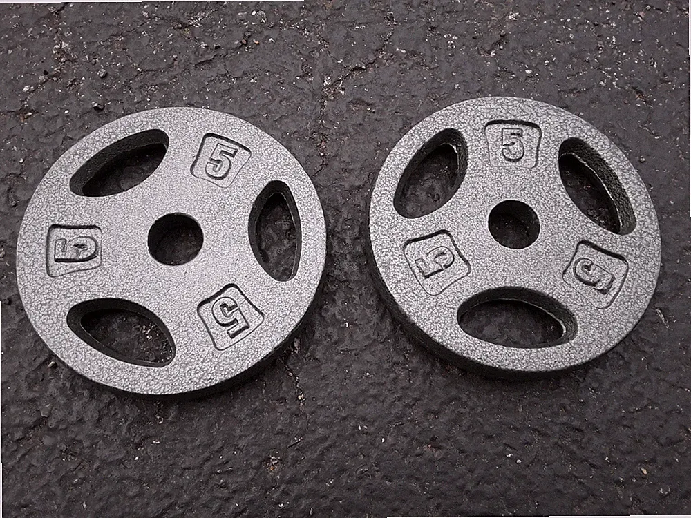 2 CAP Standard 1" Free Weight Plates 5 lb Pair 10 lbs Set Gym Barbells Dumbbells