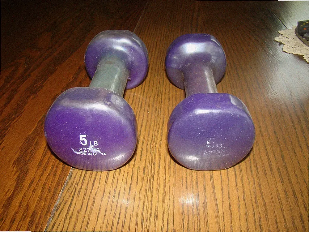 2 Gold's Gym 5 Pound Purple Vinyl-Coated Dumbbells Hand Weights Home Workout