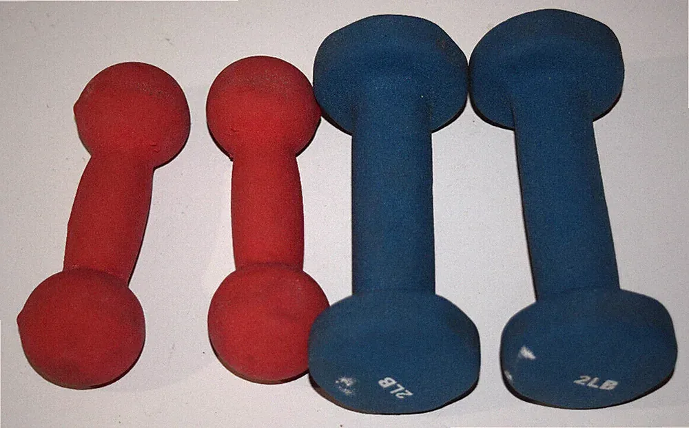2 Pair Fitness Vinyl Coated Colorful Hex Hand Weights Dumbbells 1 lb 2Lbs