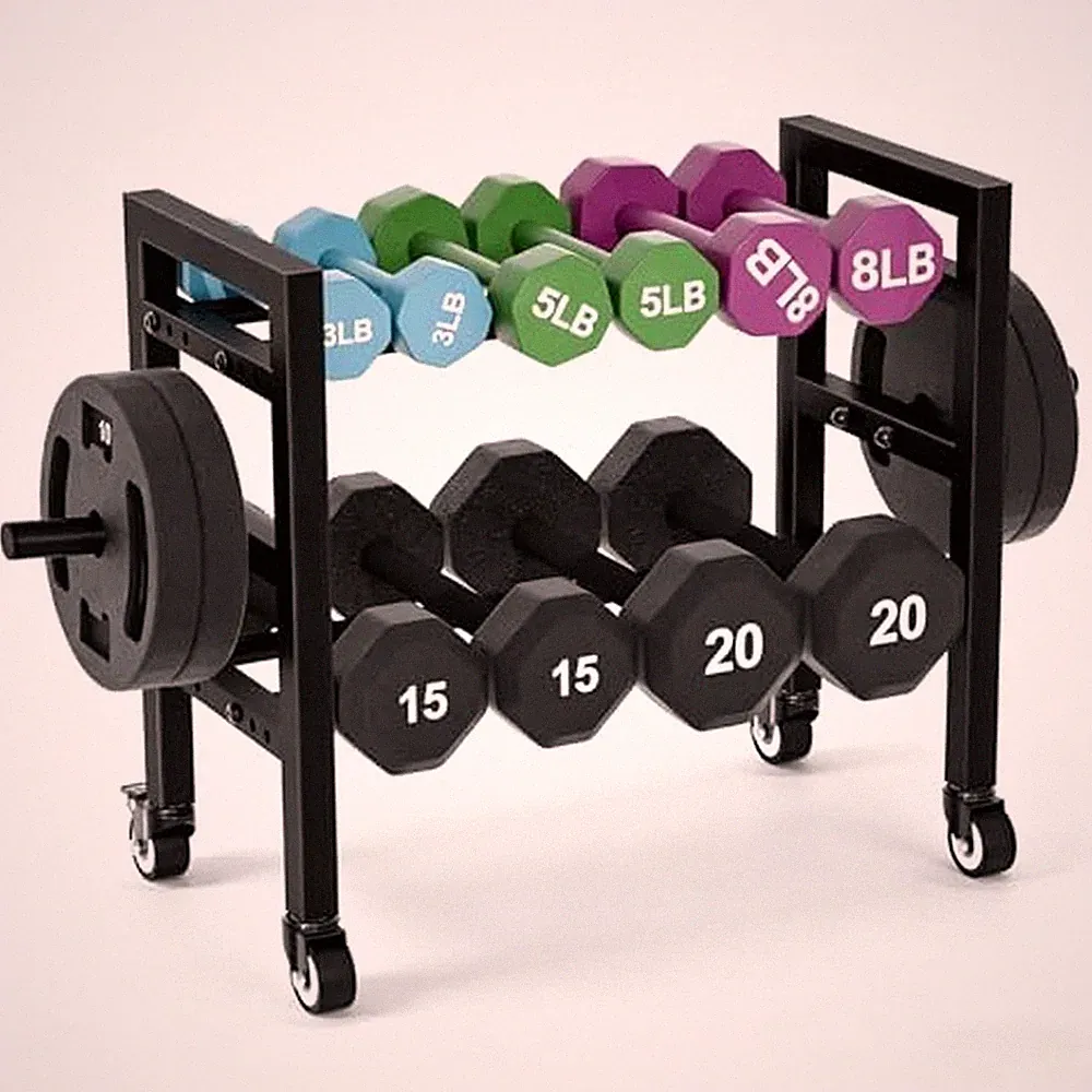 2-Tier Dumbbell Rack Small Weight Rack For Home Gym 350LB Capacity