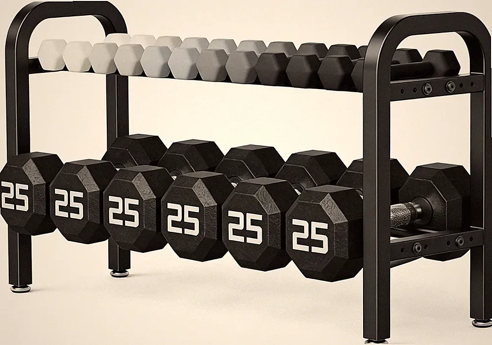 2 Tier Dumbbell Rack, Weight Rack for Home Gym, 300 Lb Capacity