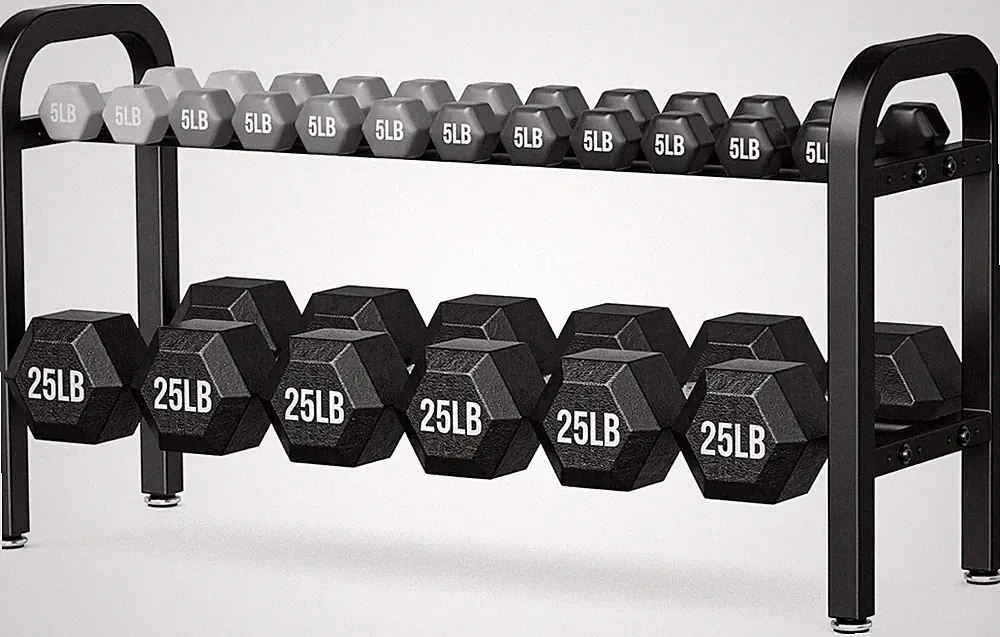 2 Tier Dumbbell Rack, Weight Rack for Home Gym, 300 Lb Capacity U PICK