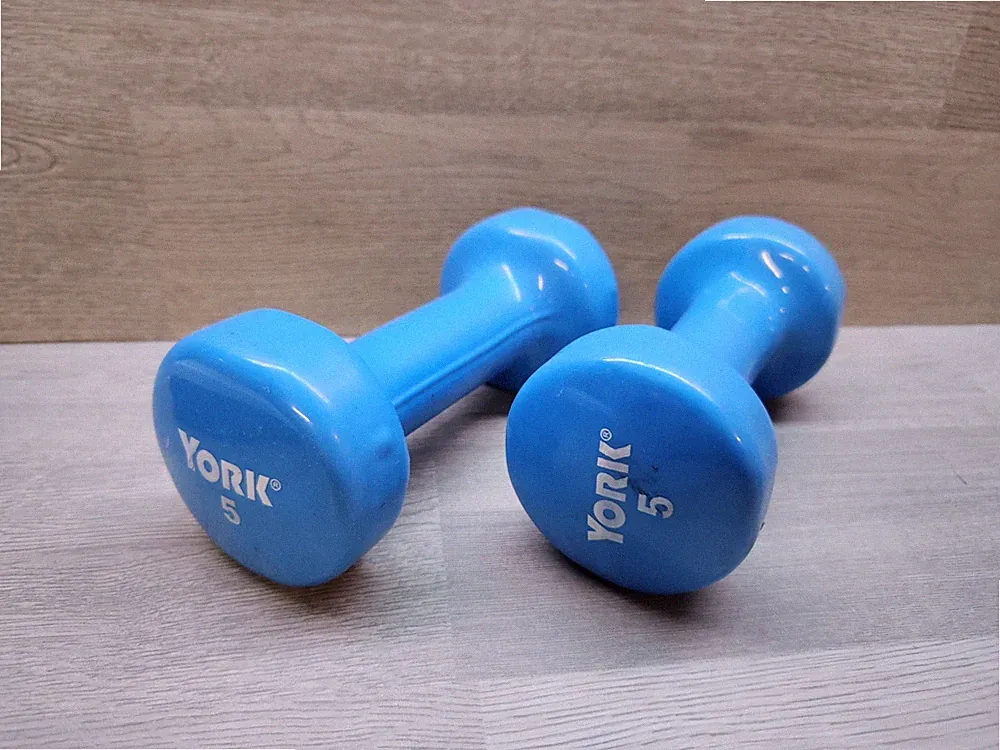 2- York 5lb Dumbbells (10 lbs total) Blue Rubber Coated Weights Nice Condition