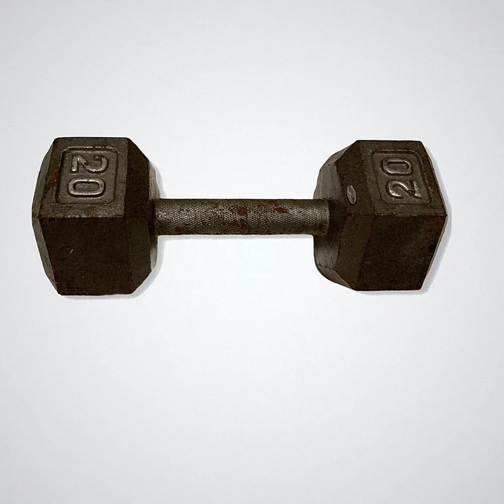 20 lb Cast Iron Hex Head SINGLE Dumbbell Some Rust See Photos
