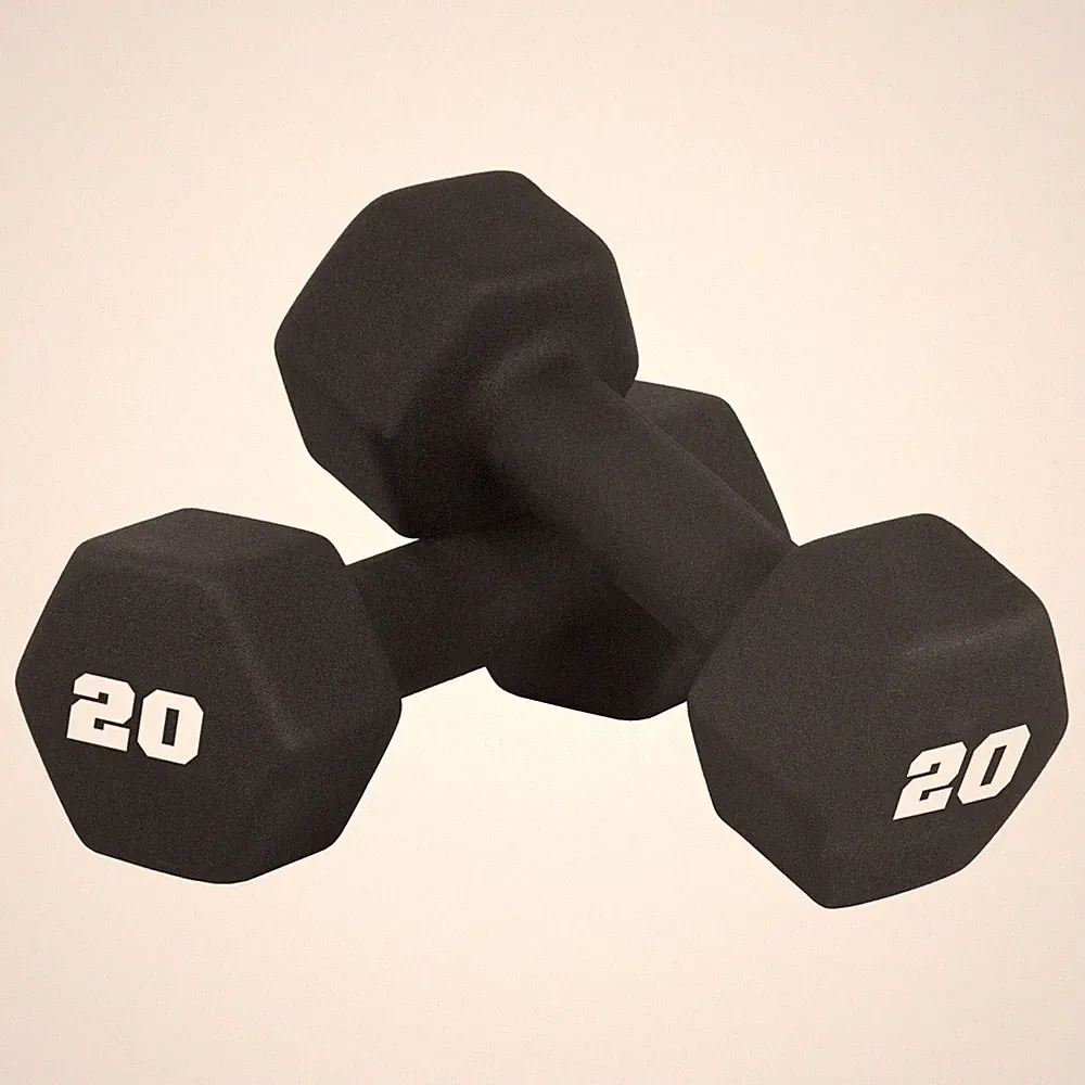 20 LB Neoprene Dumbbell Hand Weights Pair Black