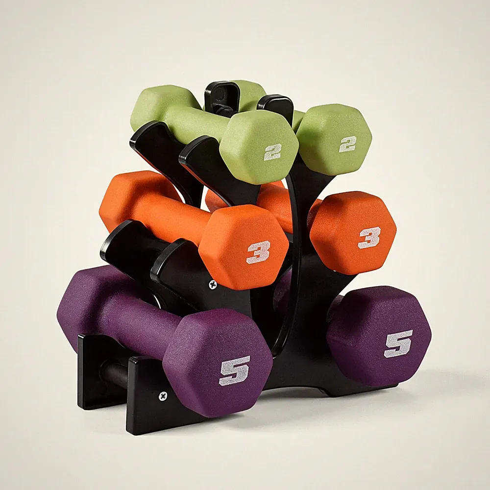 20 LB Set of Neoprene Dumbbells with Rack | 2, 3, 5 LB pairs
