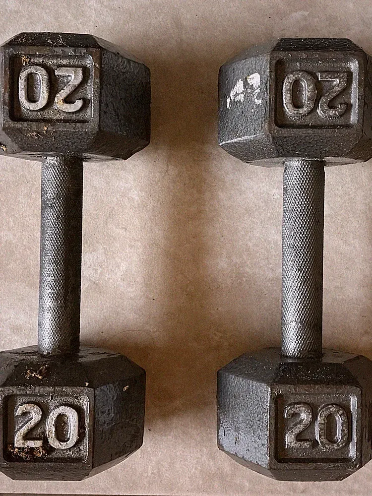 20lb Cast Iron Dumbbells Set Of 2 - One Pair- Used