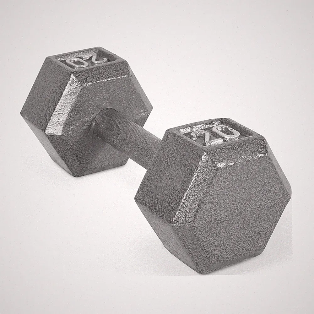 20lb Cast Iron Hex Dumbbell, Single