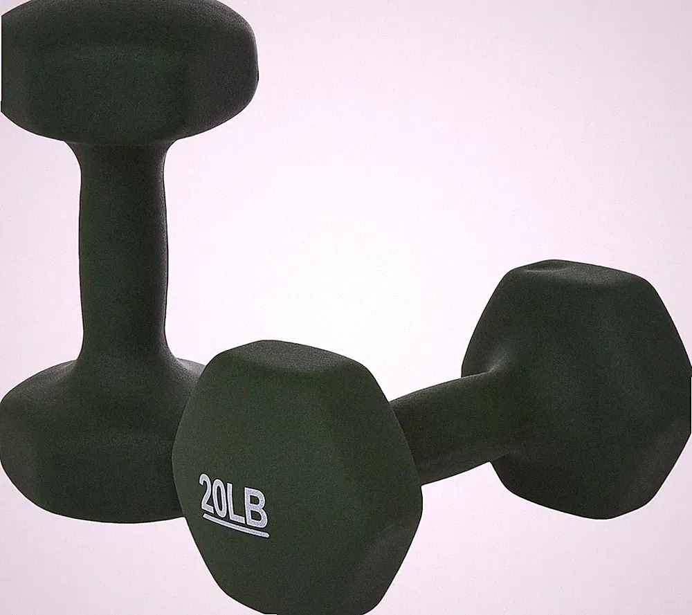 20LBS Set of 2 Neoprene Dumbbell Hand Weights for Exercise and Strength Training