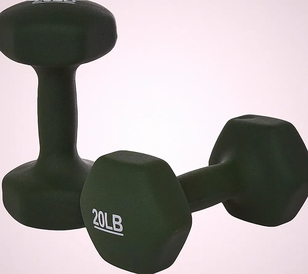 2PCS 20 Pounds Neoprene Dumbbell Hand Weights for Exercise and Muscle Toning NEW