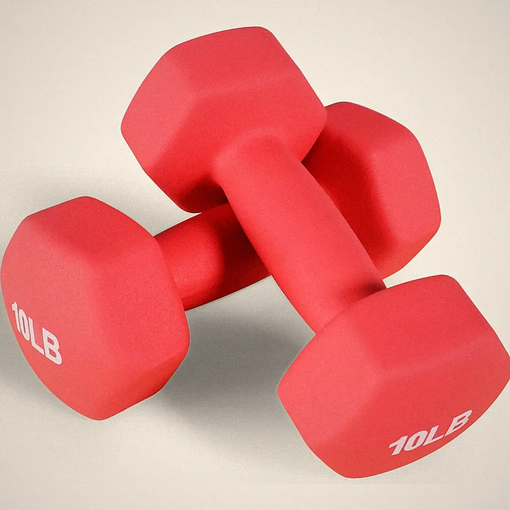 2PCS Neoprene Coated Dumbbells, 10 lbs Pair Dumbbells, Home Gym Yoga Training