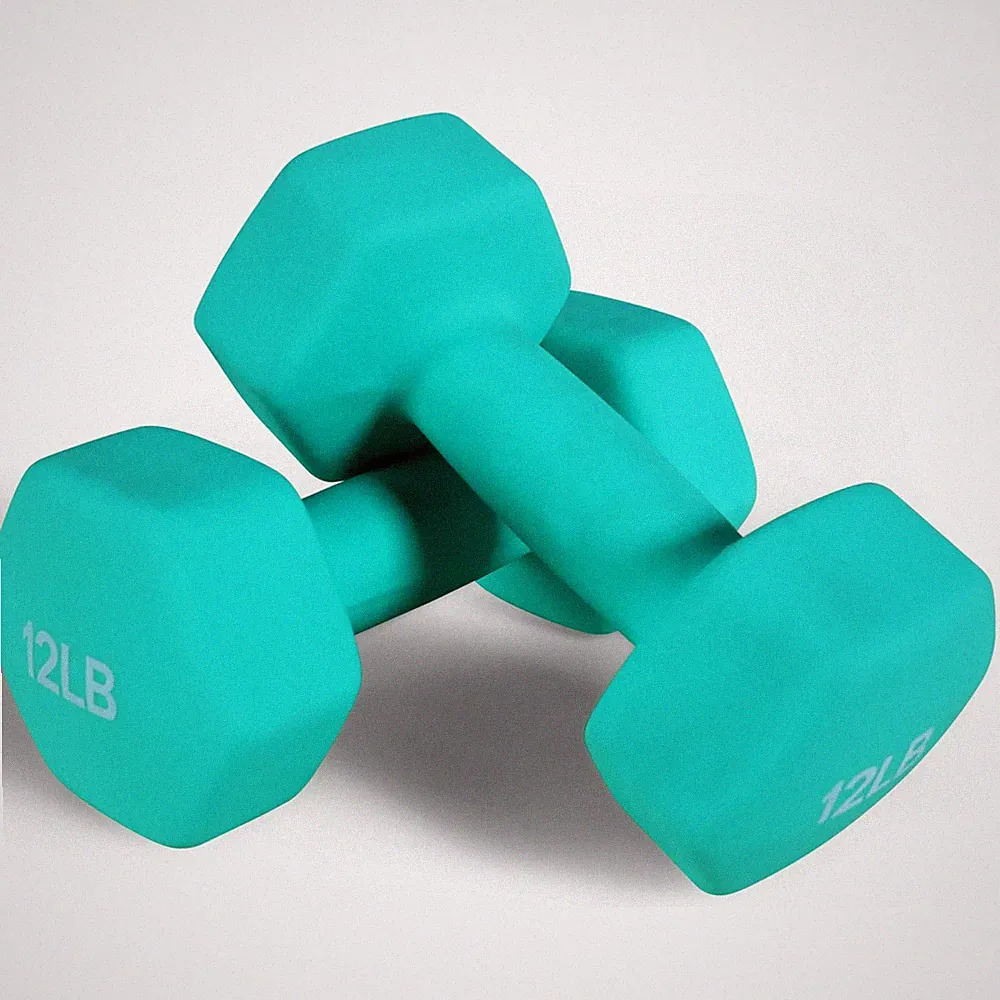 2PCS Neoprene Coated Dumbbells, 12 lbs Pair Dumbbells, Home Gym Yoga Training