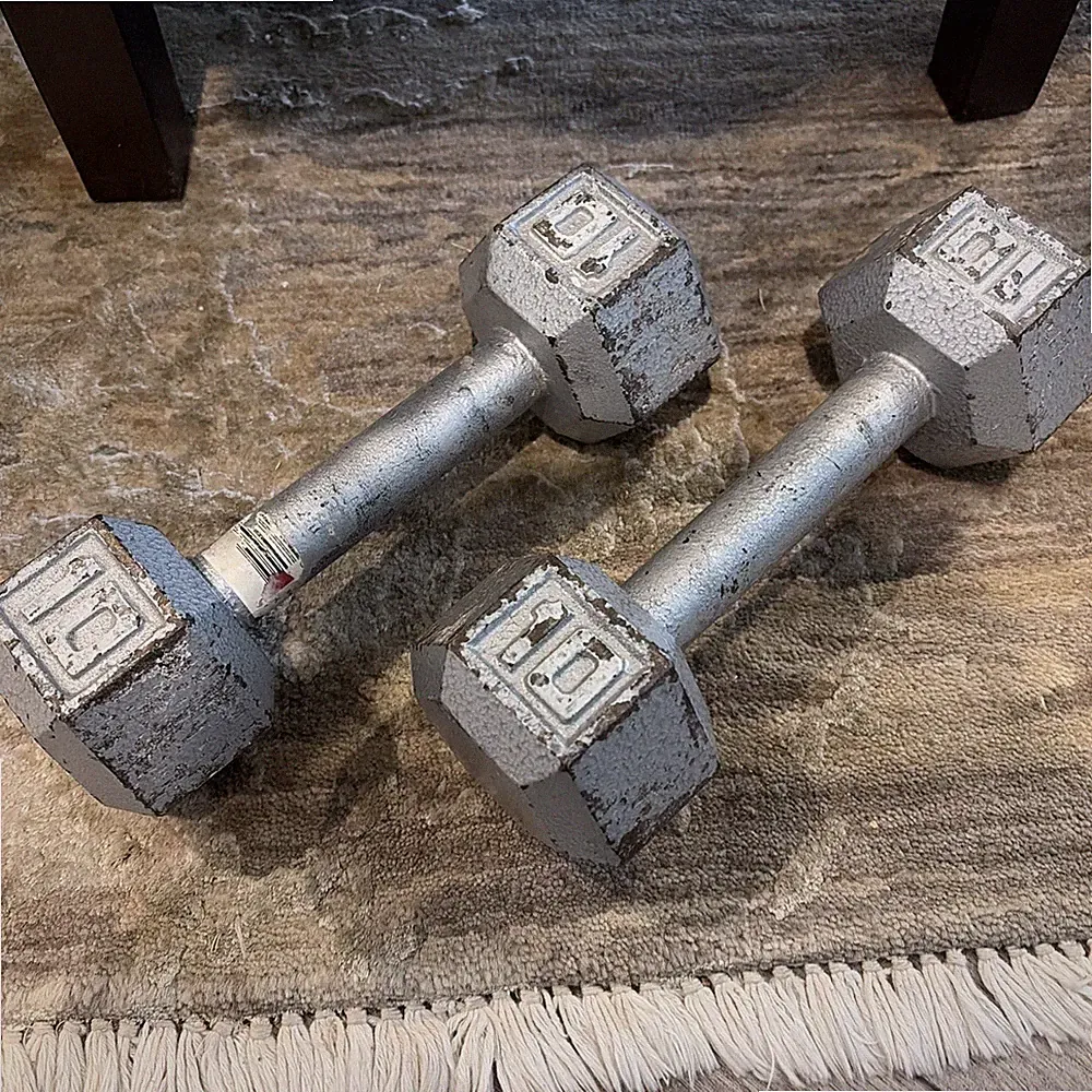 2x 10 lb Pound Hex Weight Dumbbell Pair Cast Iron Hexagon