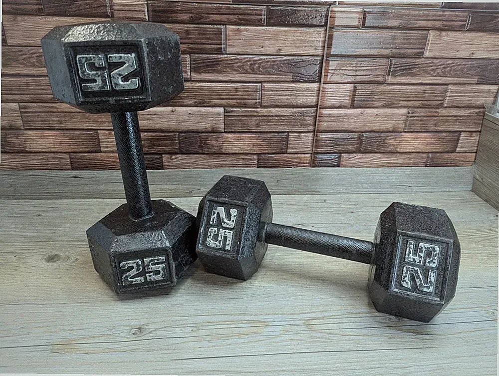 25 pound cast iron dumbbells