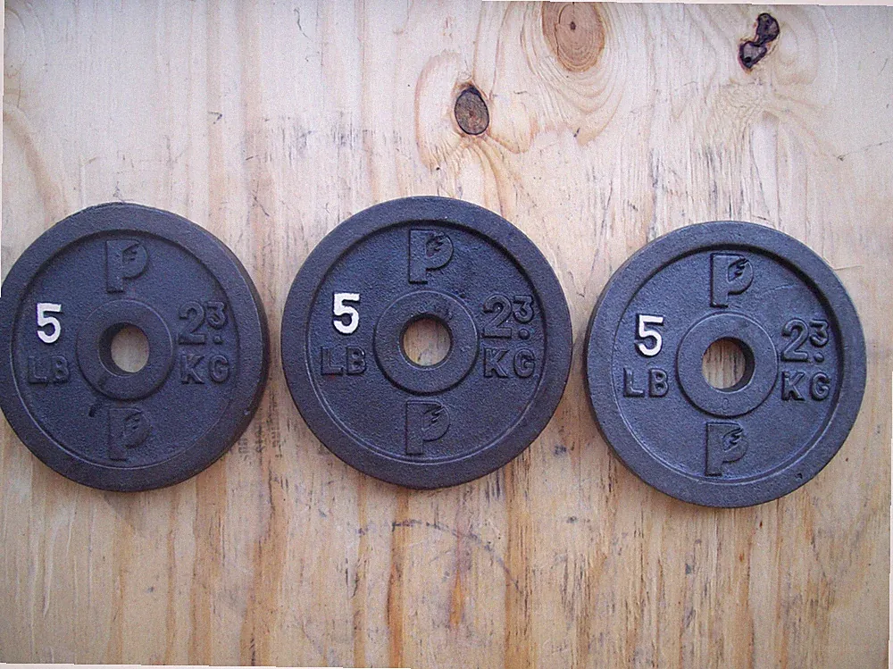 3- 5lb "P" BARBELL PLATES Bodybuilding Strongman GYM Fitness DUMBBELLS Exercise