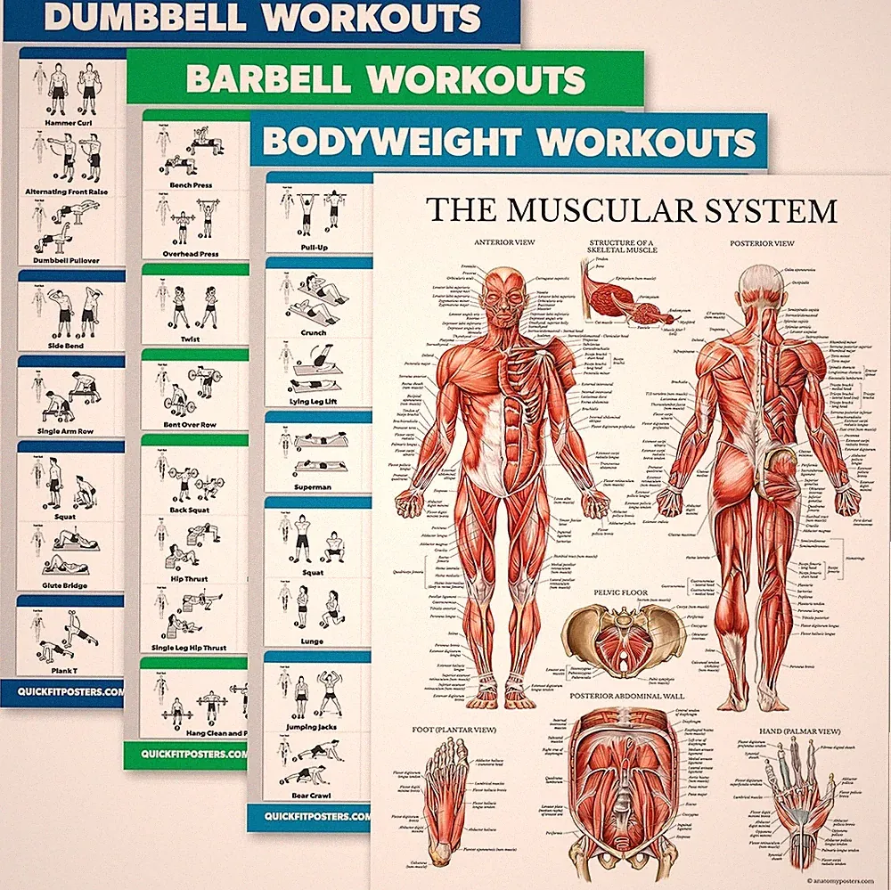 Mossa Barbell
