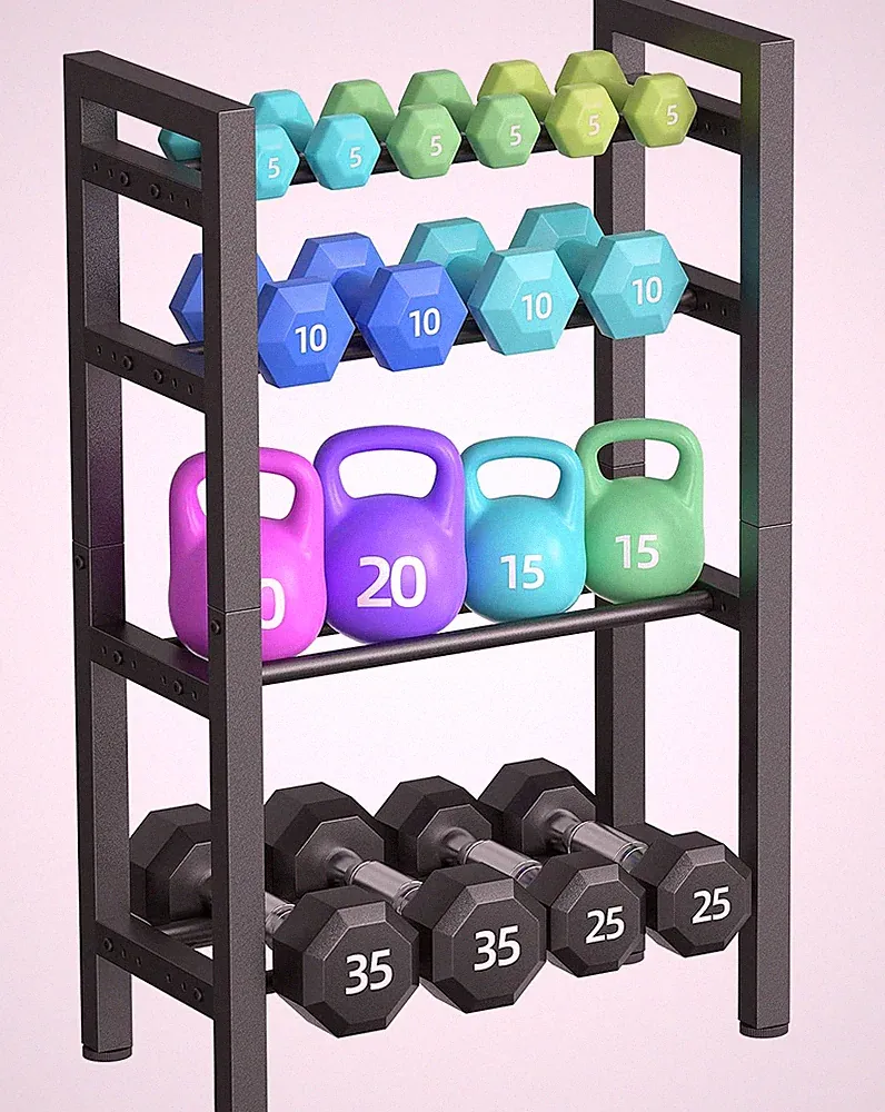 4 Tier Dumbbell Rack HeavyDuty Steel 800LBS Capacity for Home Gym