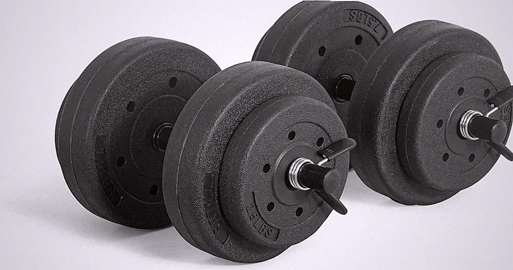 40lb Adjustable Dumbbell Set Anti-Roll Weights Home Gym Fitness Training