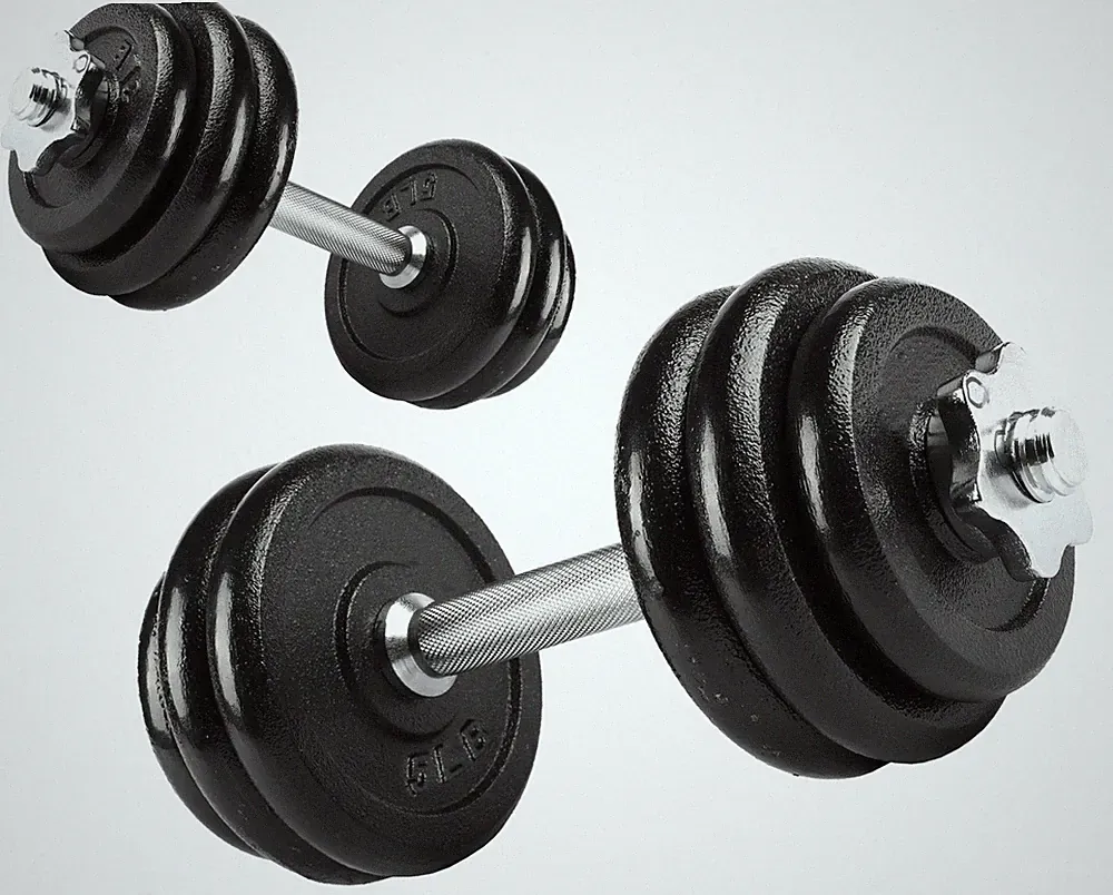 40lb Adjustable Dumbbell Set, Chrome & Black