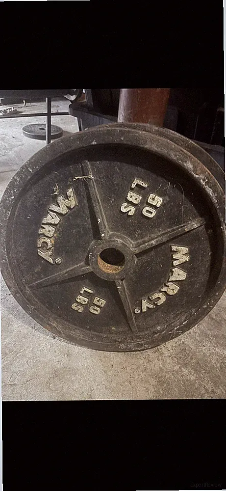 50lb Olympic Weight Plate Strength Straining Gym Equipment, Bulk deals on plates