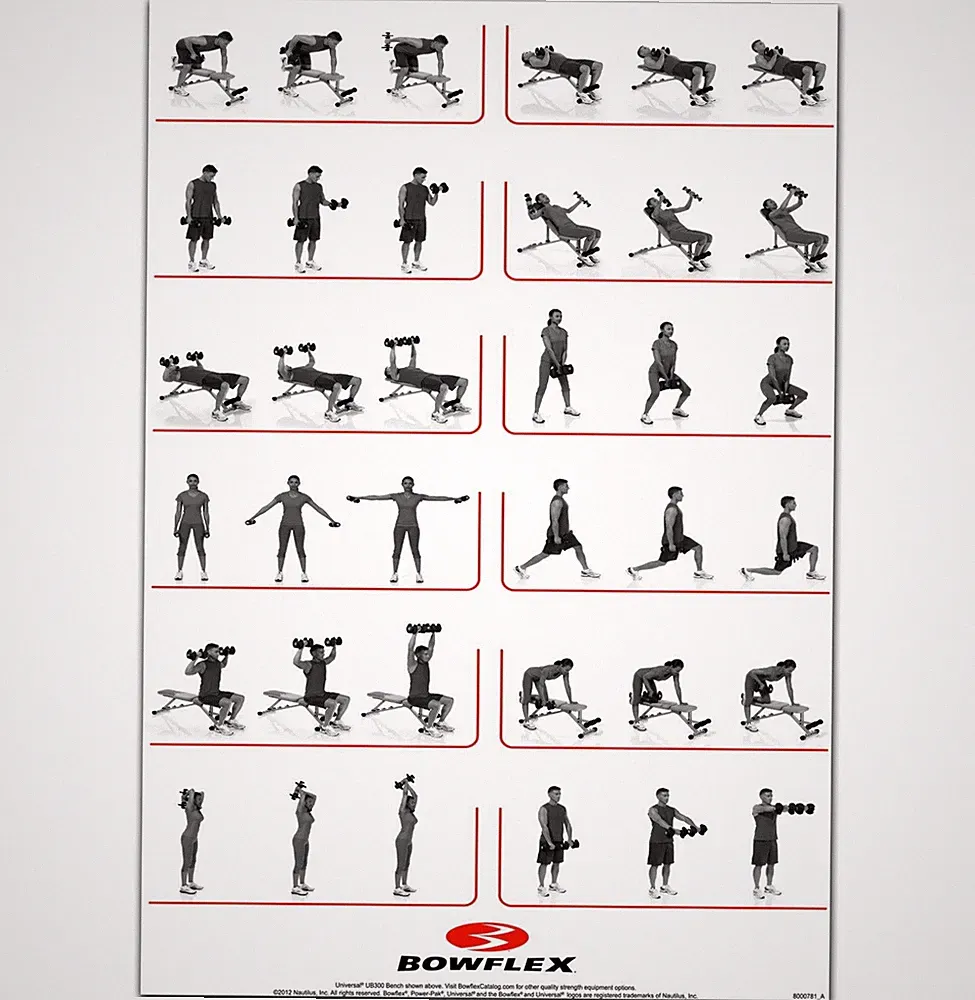 59149 Dumbbell Workout HQ Gym Fitness Exercises Wall Decor Print Poster