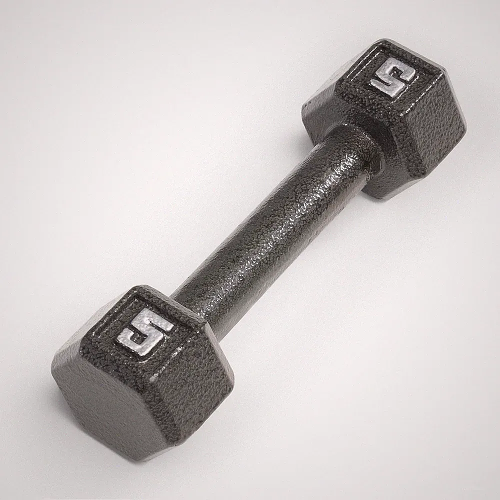 5lb Cast Iron Hex Dumbbell Single Weight Gym Fitness Equipment IV-2005