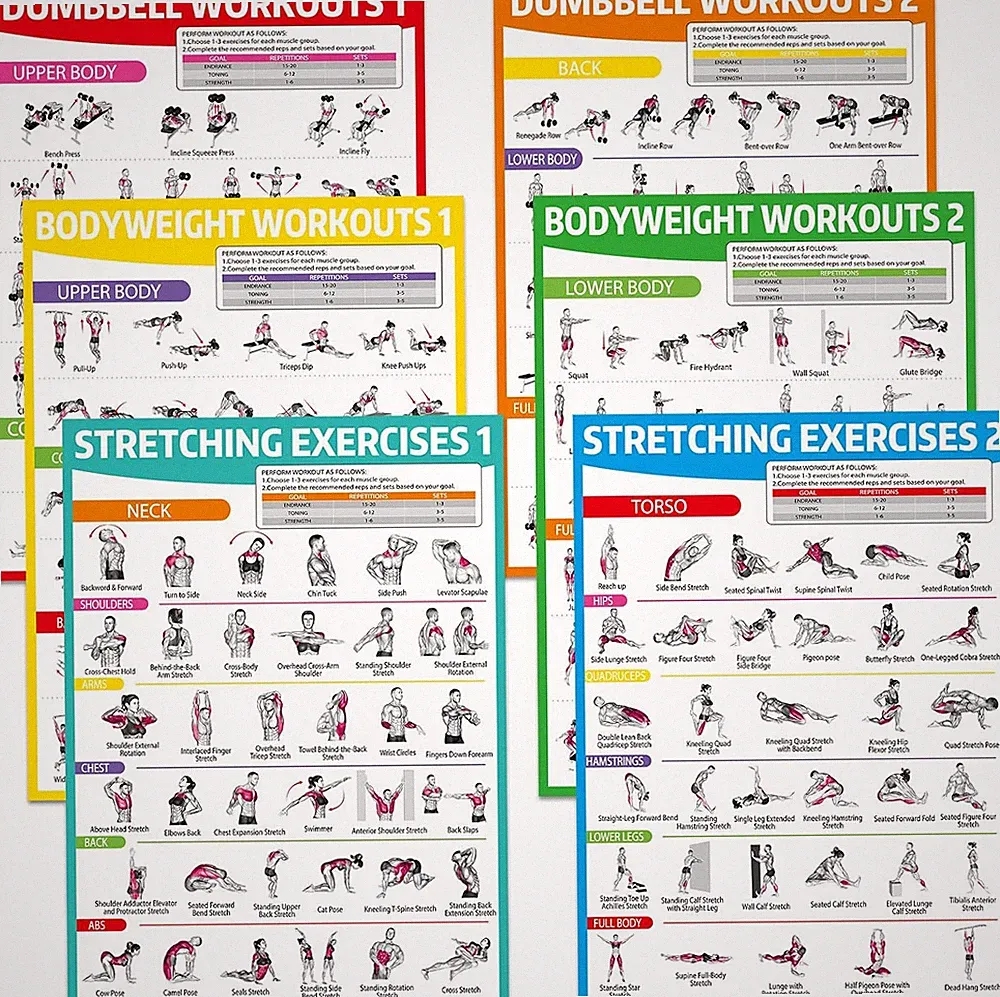 6PCS Workout Posters for Home Gym Dumbbell Bodyweight Stretching Workout Exercis