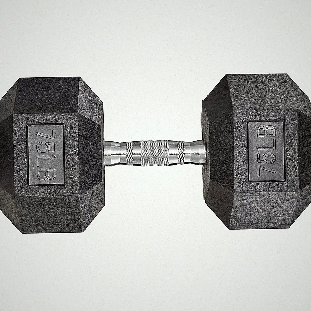 75lb Single Rubber Coated Hex Dumbbell Hand Weight Body Building Training