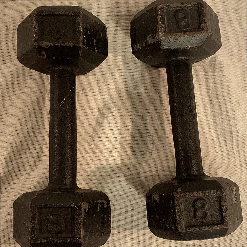 8 LB Dumbbell Pair Cast Iron Hex Dumbbells Weights Set of 2 - Total 16 pounds