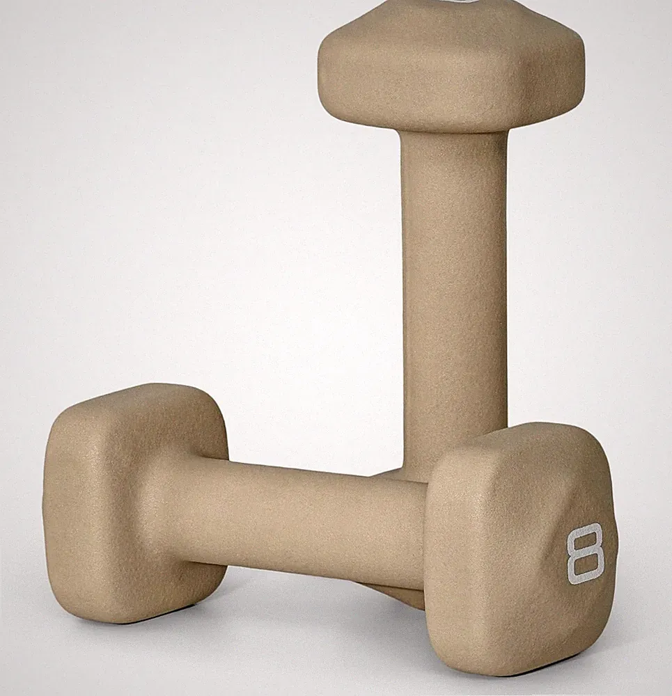 8 Lb Neoprene Dumbbell Pair for Home Workouts, Non-Slip Design