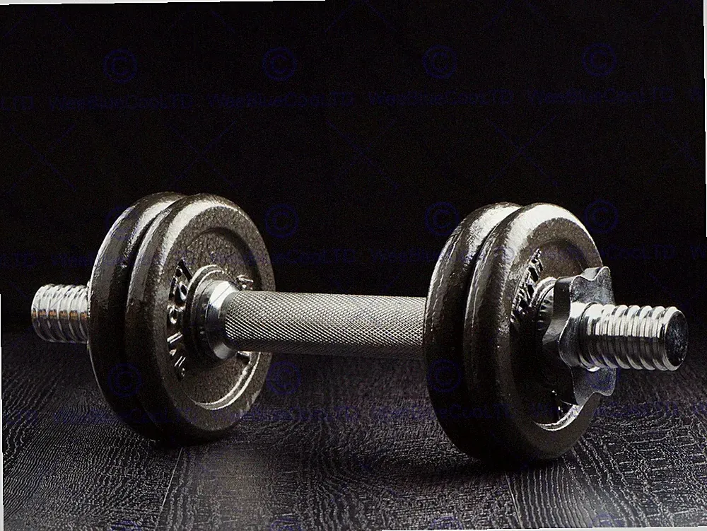 86785 EXERCISE WEIGHTS DUMBELLS FITNESS Decor Wall Print Poster