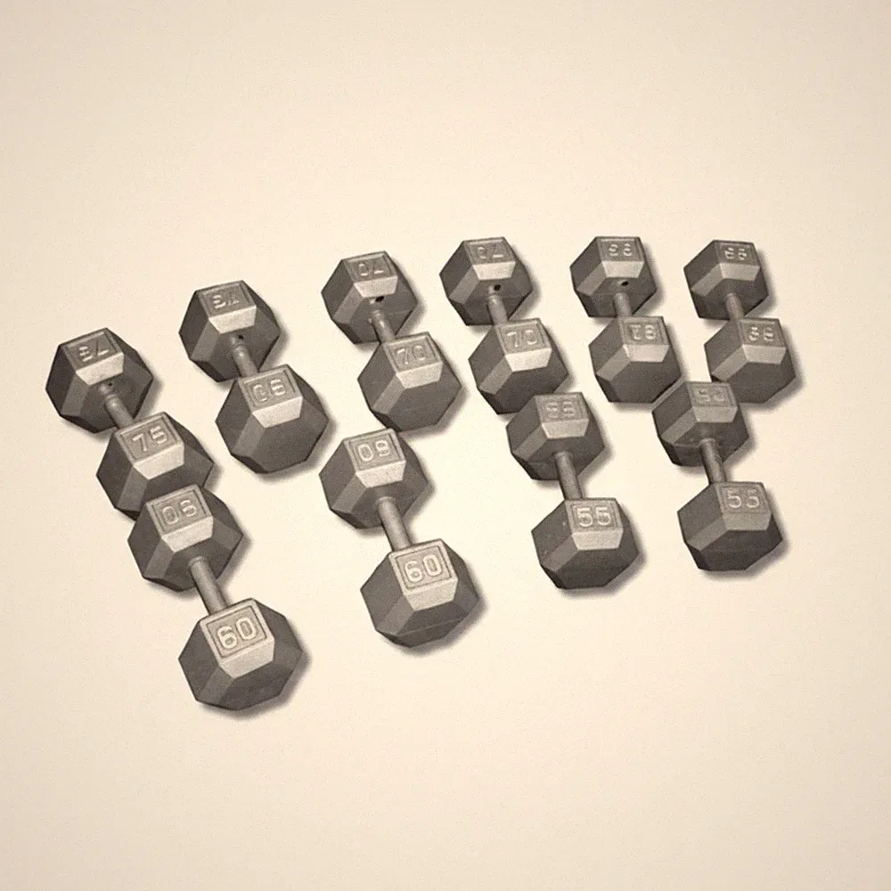 Ader Cast Iron Hex Dumbbell – 5-120 lb (Single)