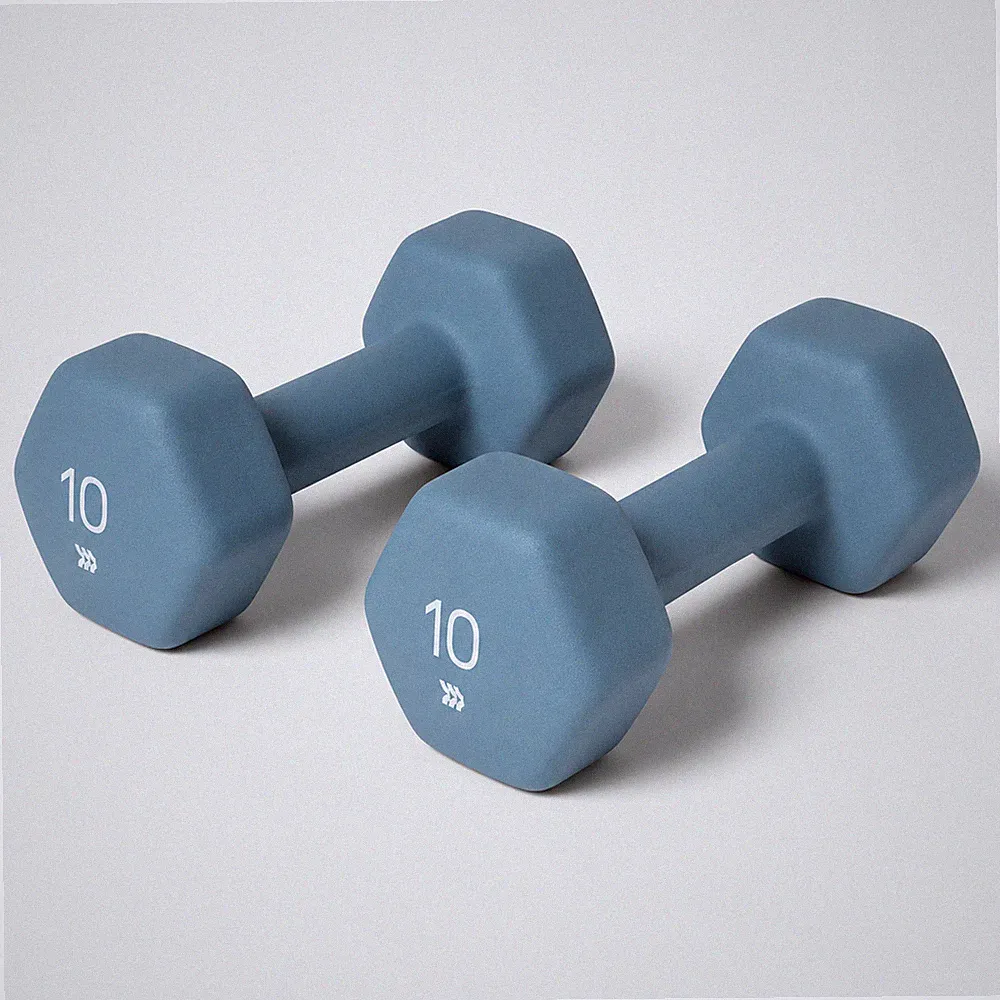 All In Motion 10 lb Dumbbell Blue PVC Coated Iron Filled Hand Weight